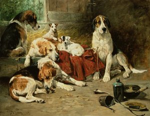 Dopo una buona giornata da John Emms